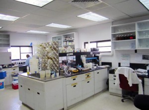 lab (1)